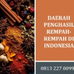 Indonesia Negara Rempah